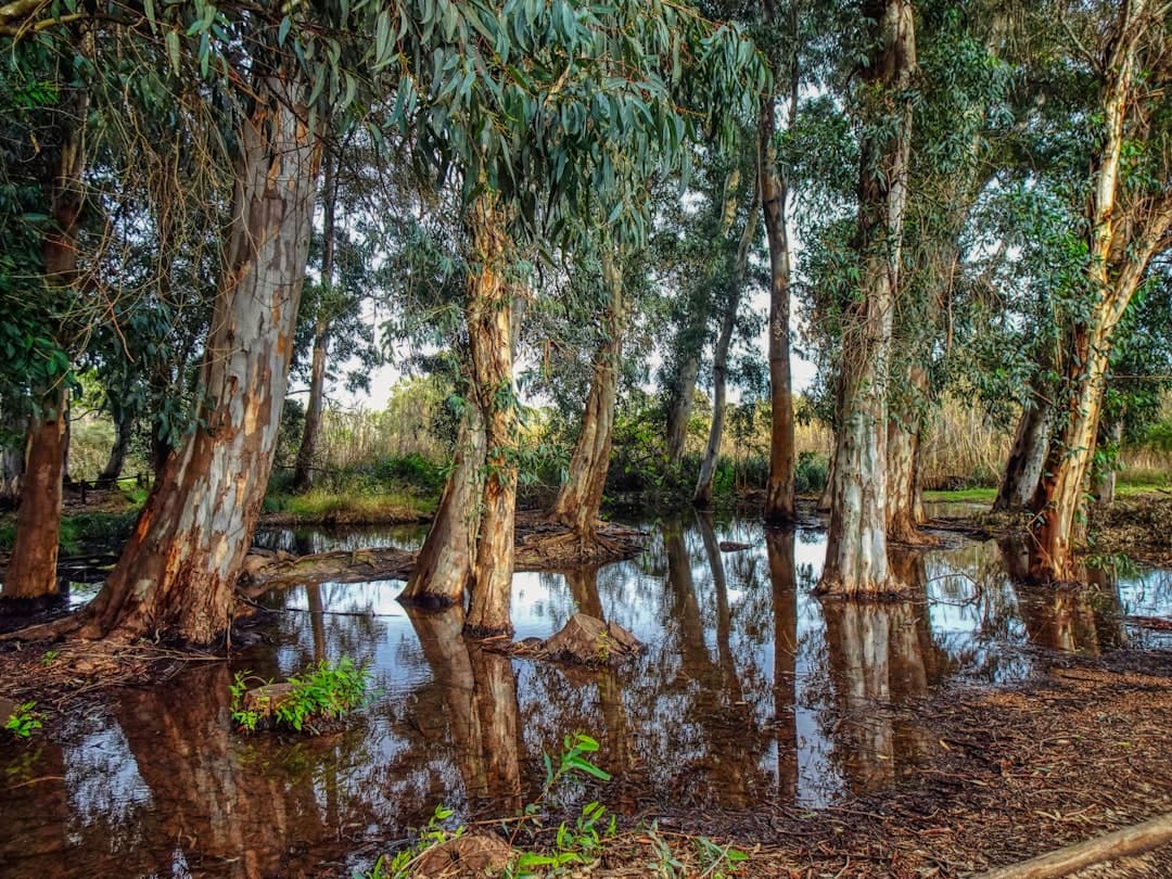 Environmental nonprofit website design