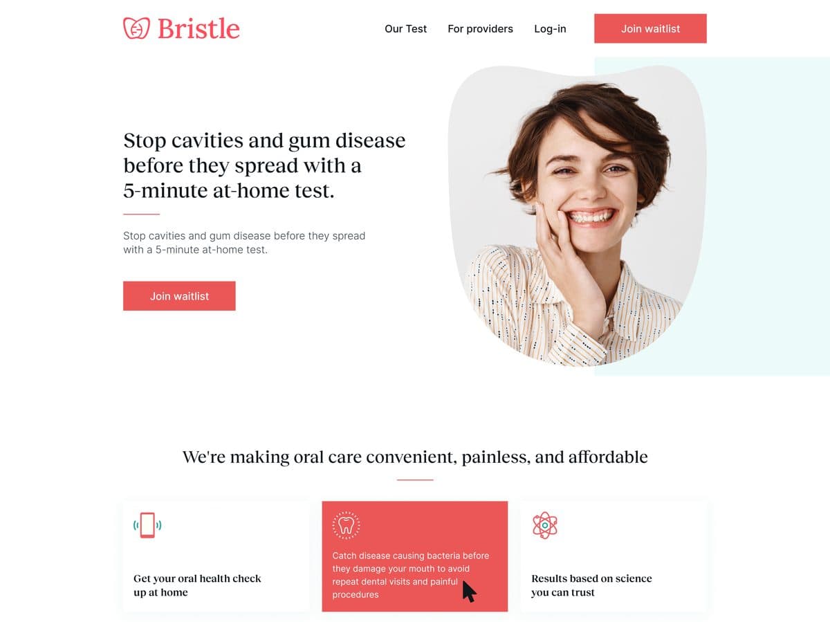 Bristle website design