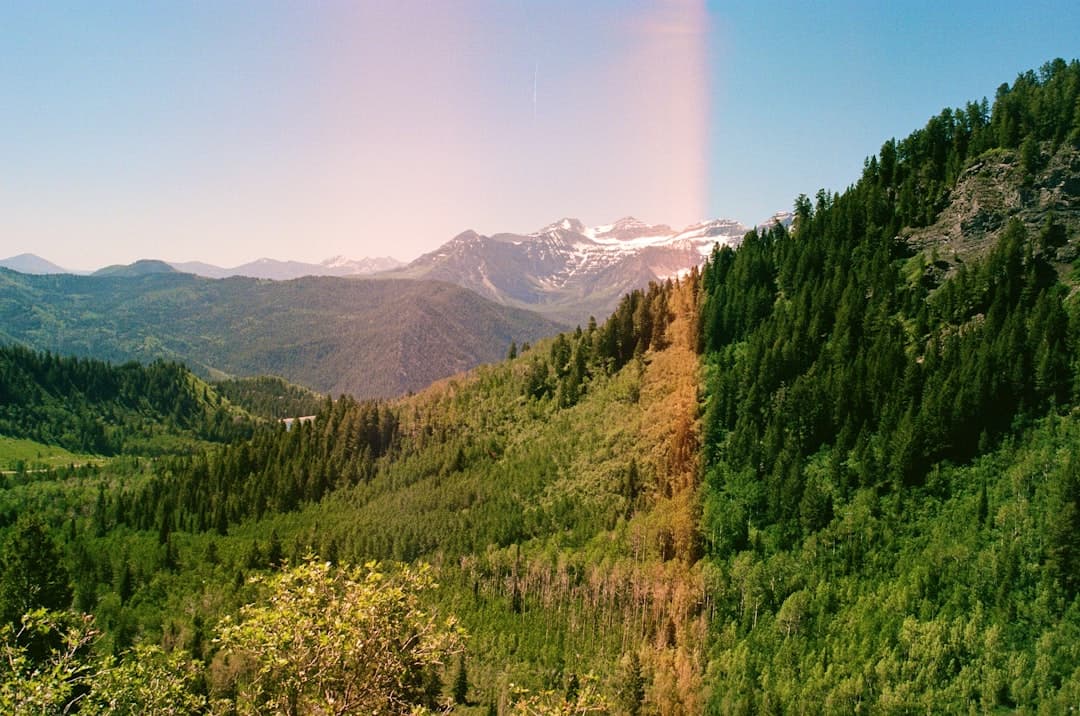 A Framer before after slider with a draggable handle revealing an edited image beneath the original