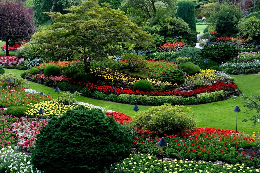 Designed garden landscape, illustrating landscaping website design priorities